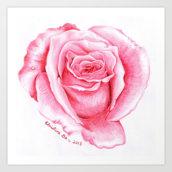 Pink Rose Drawing Art