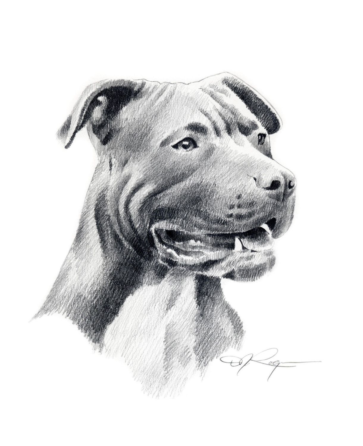 Pitbull Drawing Best