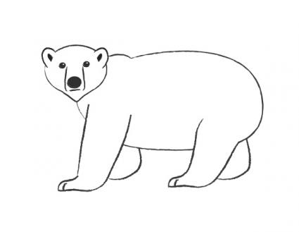 Polar Bear Drawing Pics