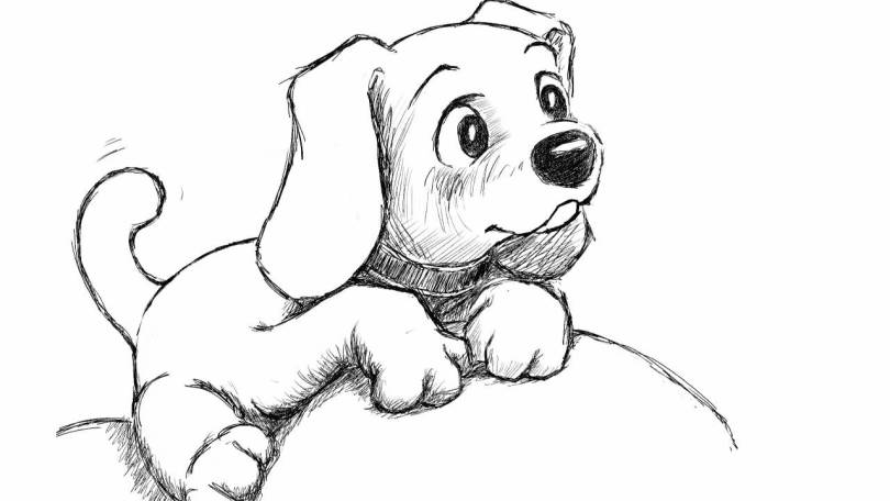 Puppy Drawing Photo