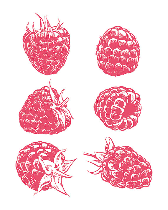 Raspberry Drawing Pic