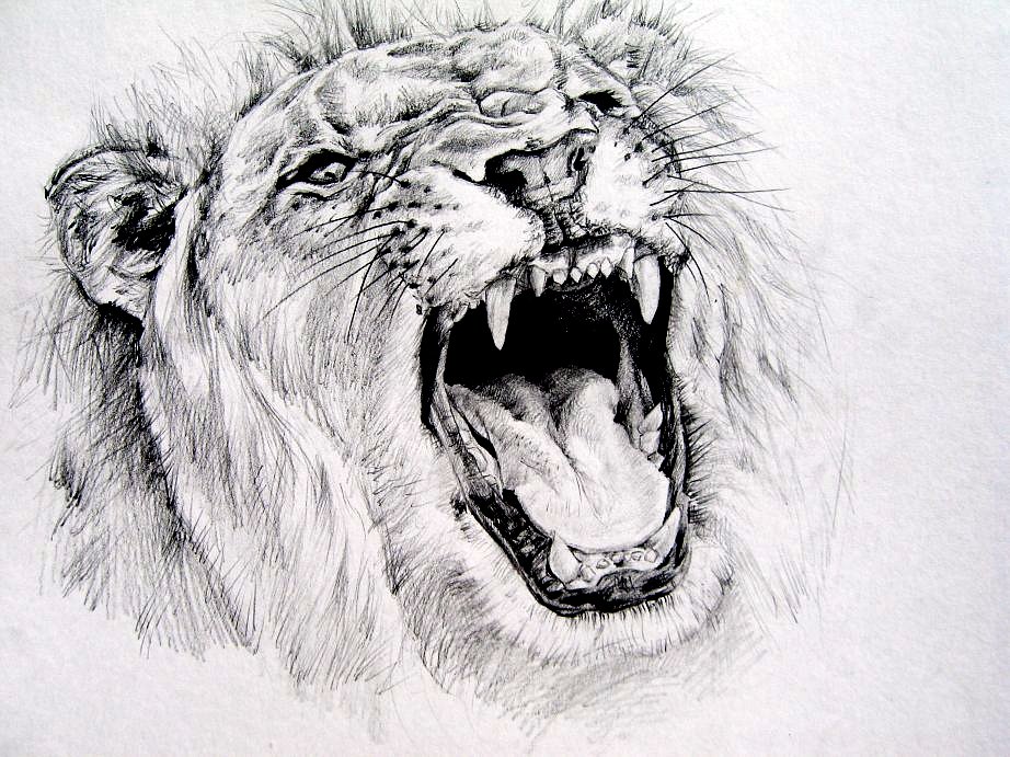 Roar Drawing Art