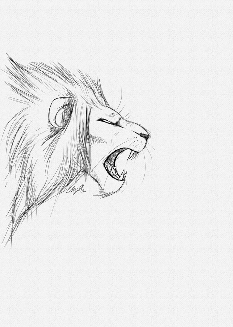 Roar Drawing Realistic