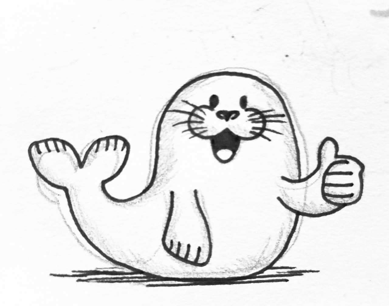 Seal Drawing Beautiful Art