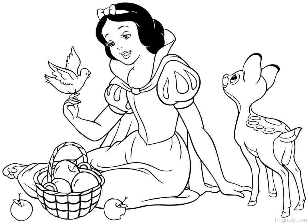 How to Draw Snow White VIDEO  StepbyStep Pictures