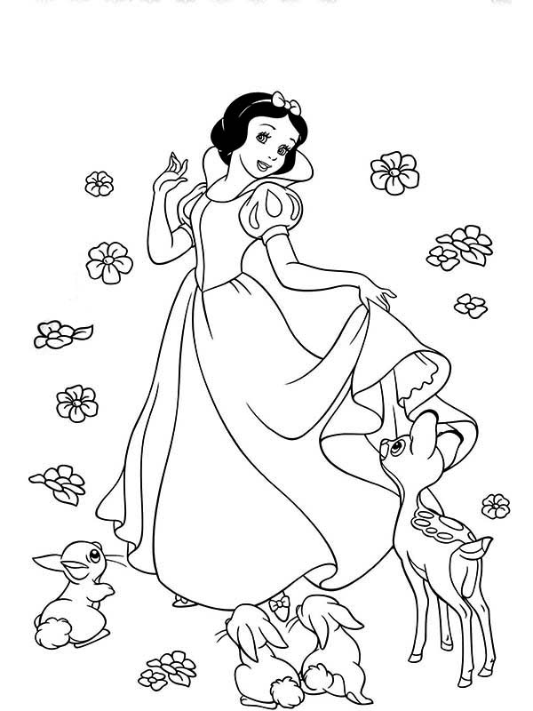 Snow White Drawing Pics