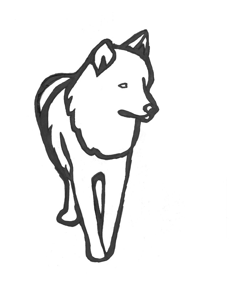 Snow Wolf Drawing Amazing