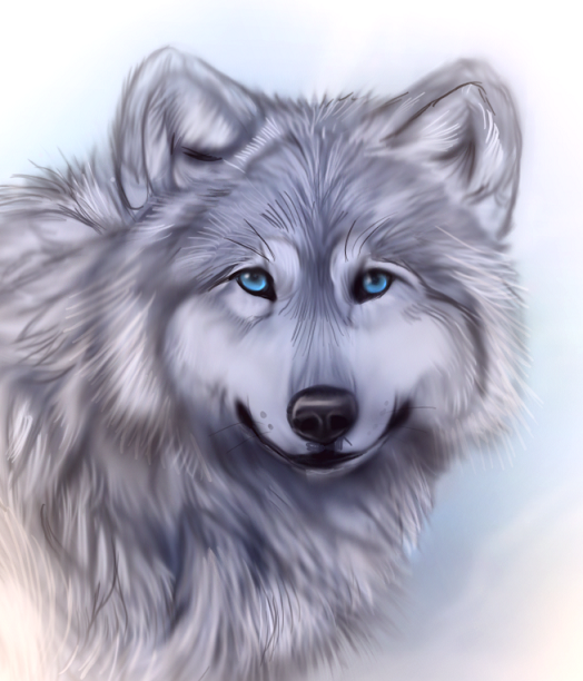 Snow Wolf Drawing High-Quality
