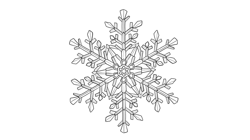 Snowflakes Realistic Drawing