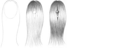 Straight Hair Drawing Photo