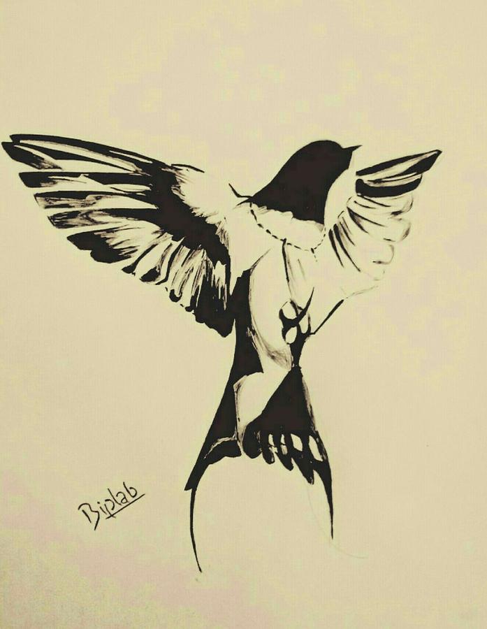 Swallow Drawing Art