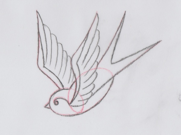Swallow Drawing Creative Art