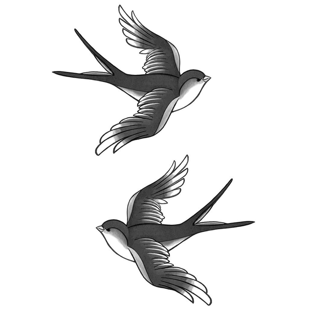 Swallow Drawing Images