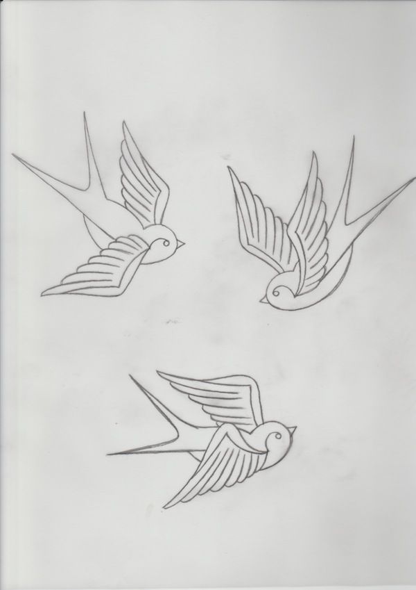 Swallow Drawing Picture