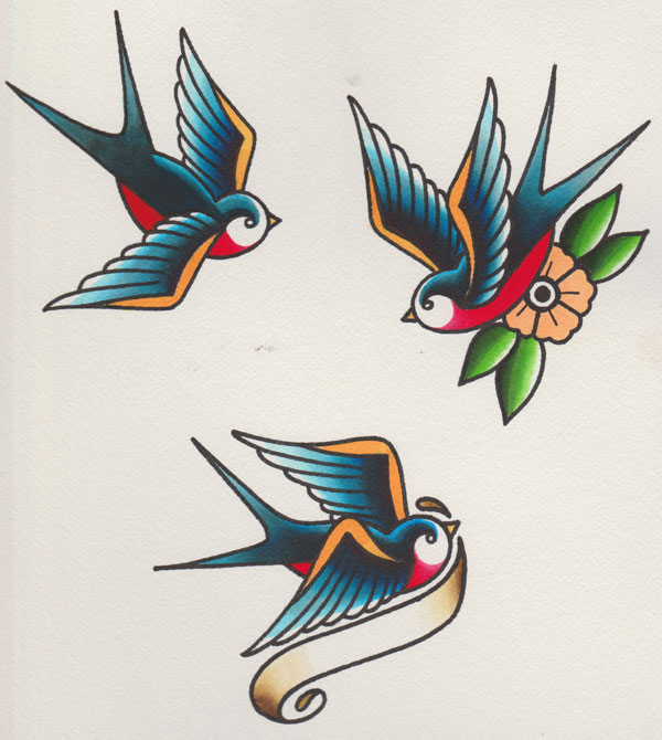 Swallow Drawing Pictures