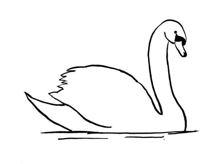 Swan Drawing Image