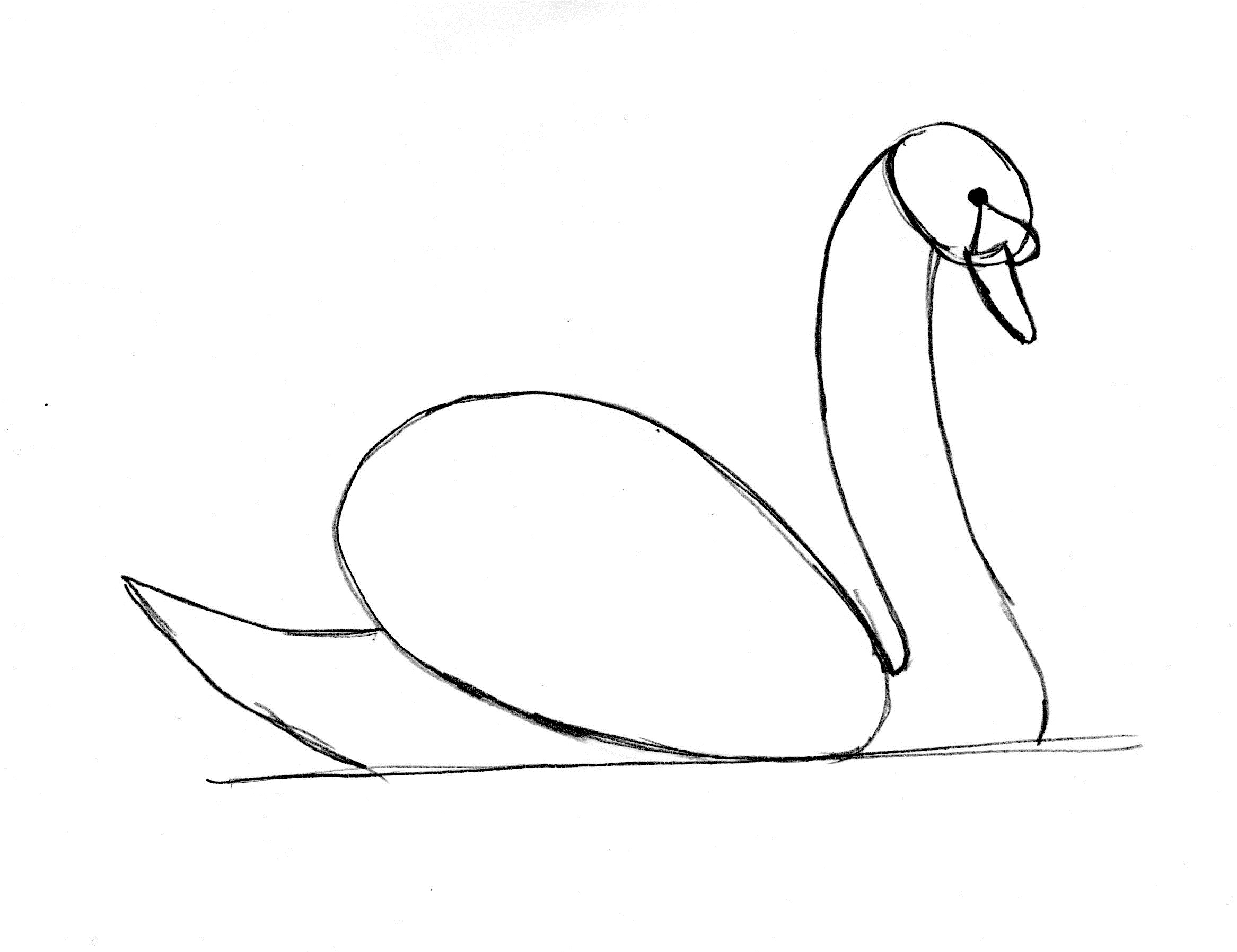 Swan Drawing Pic