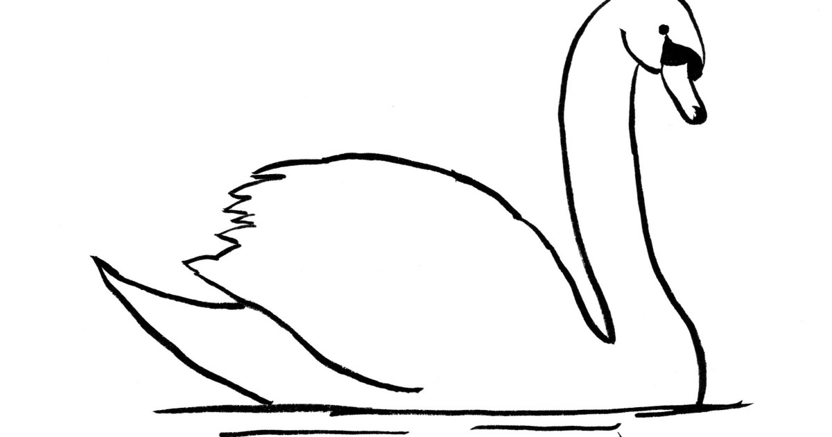 Swan Drawing Sketch