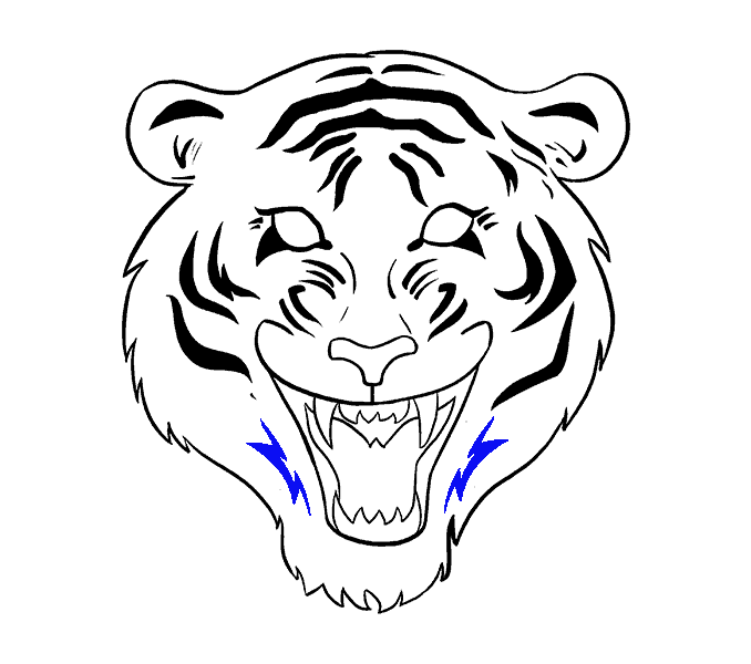 Tiger Drawing Art