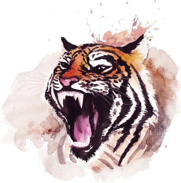 Tiger Drawing Beautiful Art