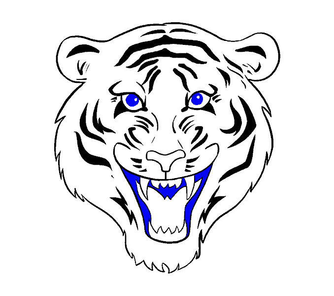 Tiger Face Drawing Sketch