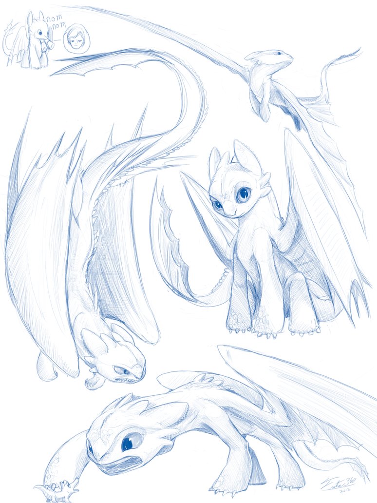 Toothless Drawing Beautiful Art