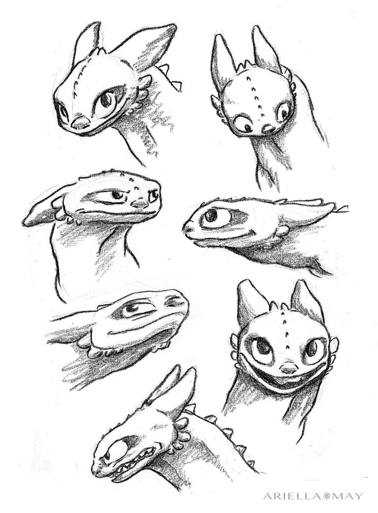Toothless sketches  Fandom