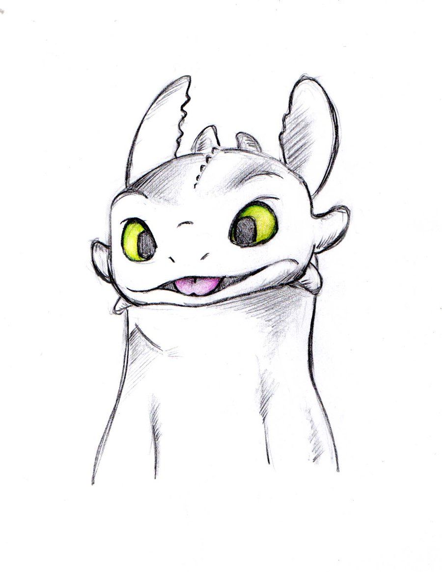 Toothless Drawing Pic