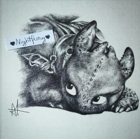Toothless Drawing Picture