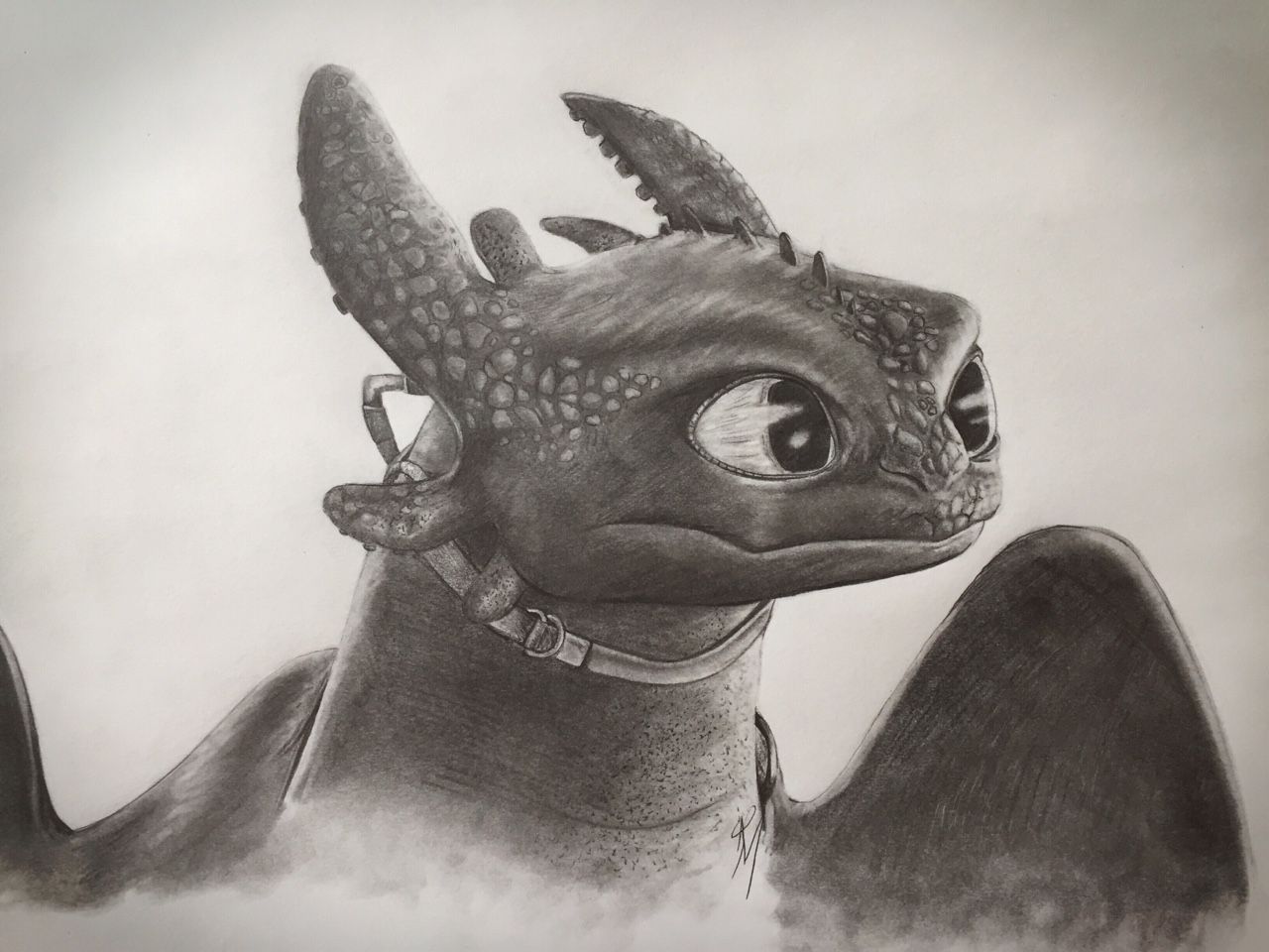 Toothless Drawing Sketch