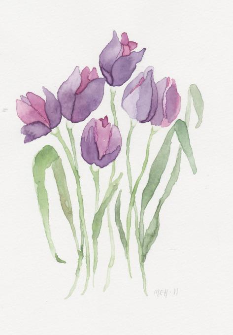 Tulip Drawing High-Quality
