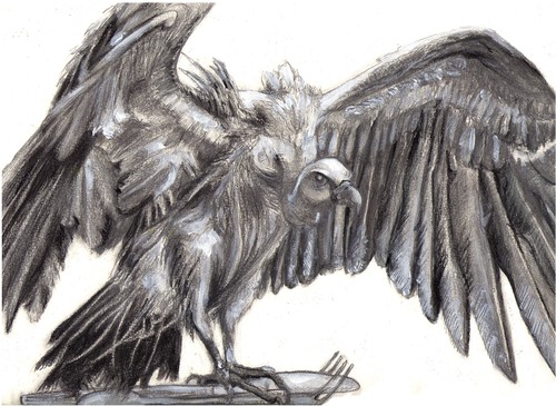 Vulture Best Drawing