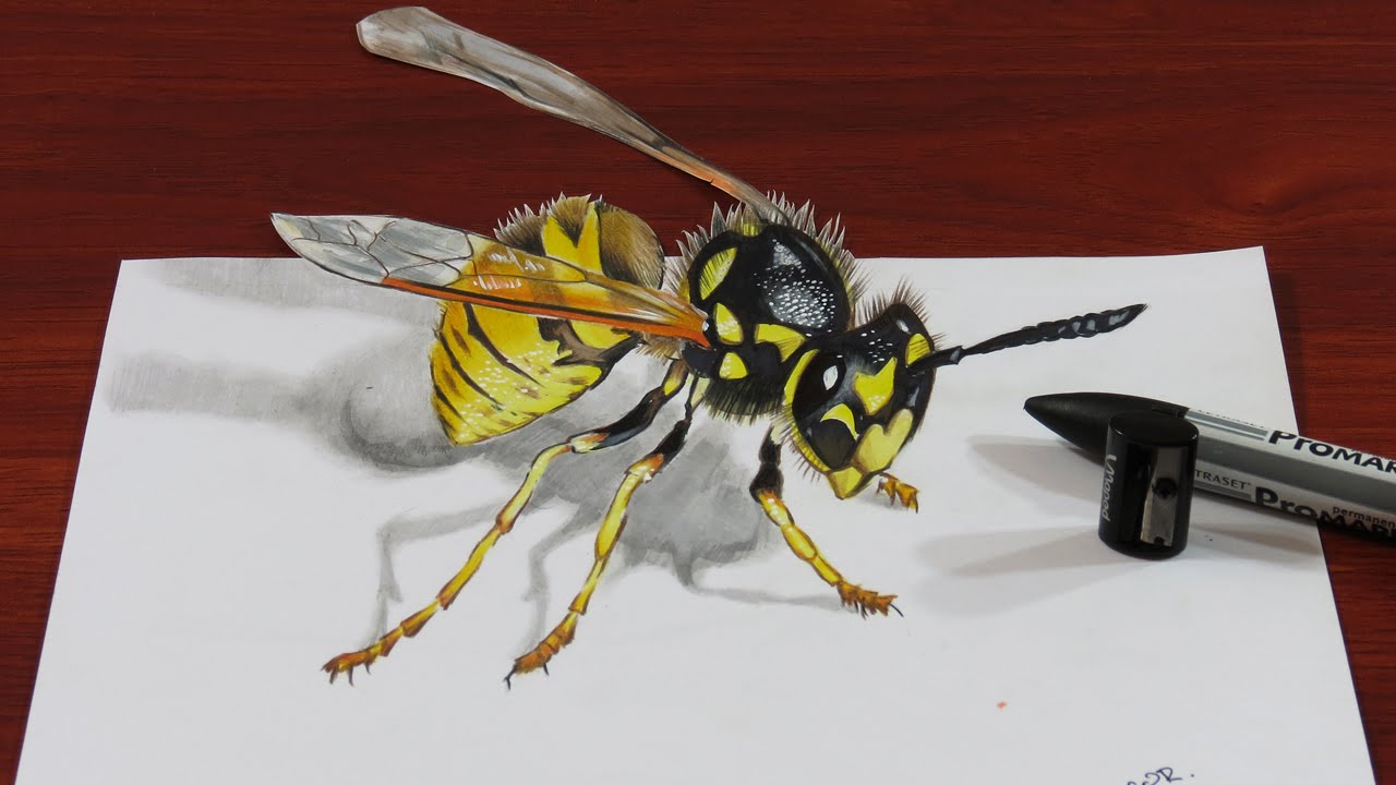 Wasp Drawing Art