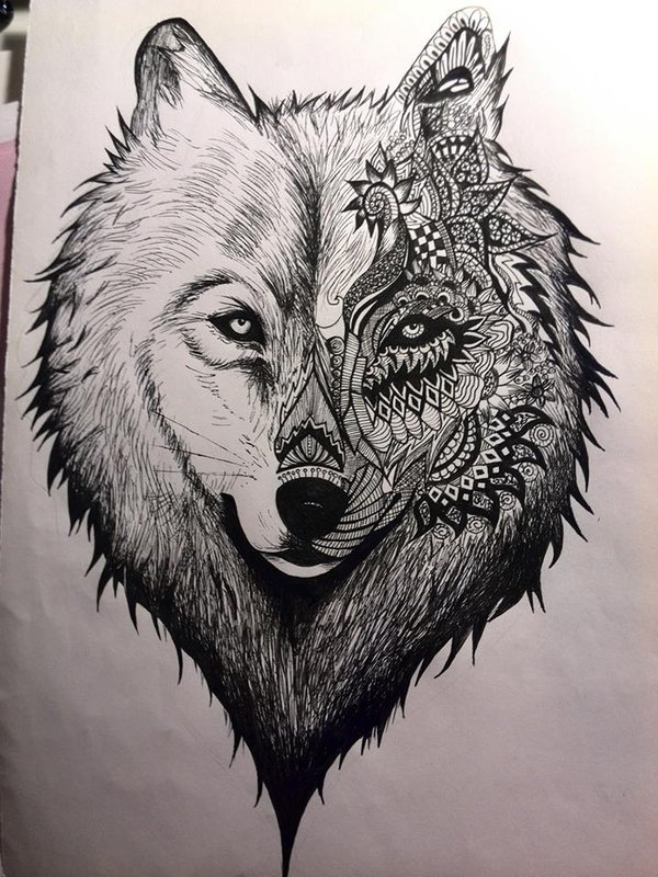 Wolf Drawing Creative Art