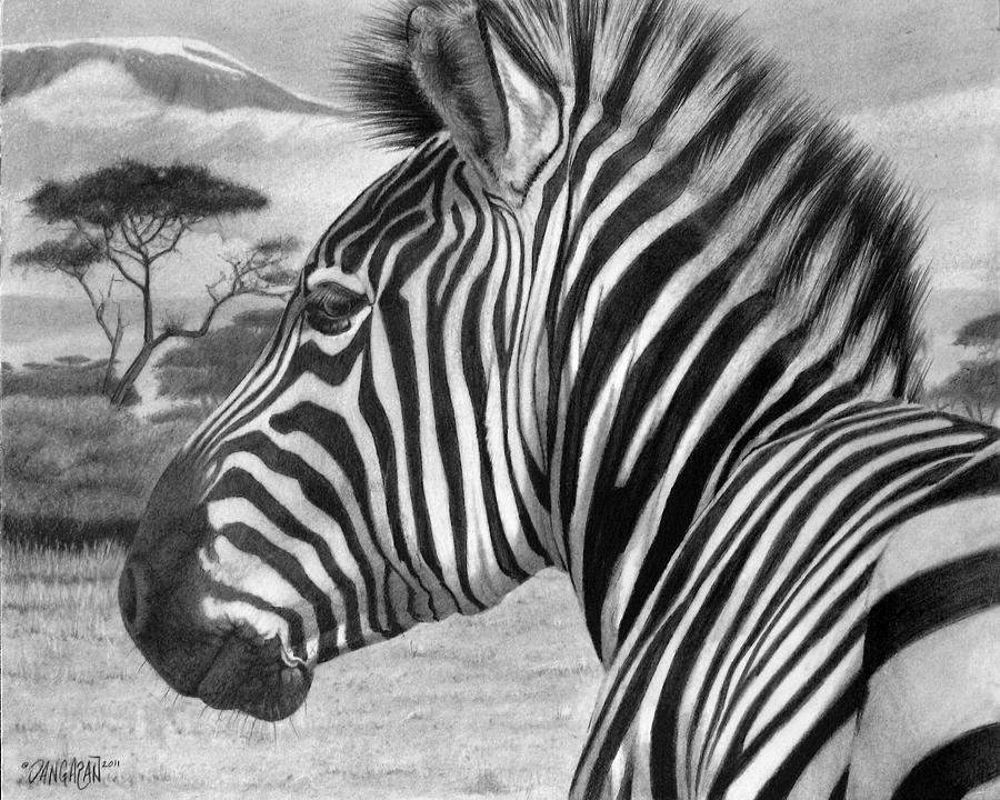 Zebra Best Art