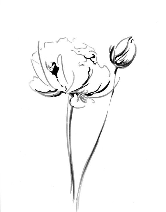 Abstract Flower Drawing Photo