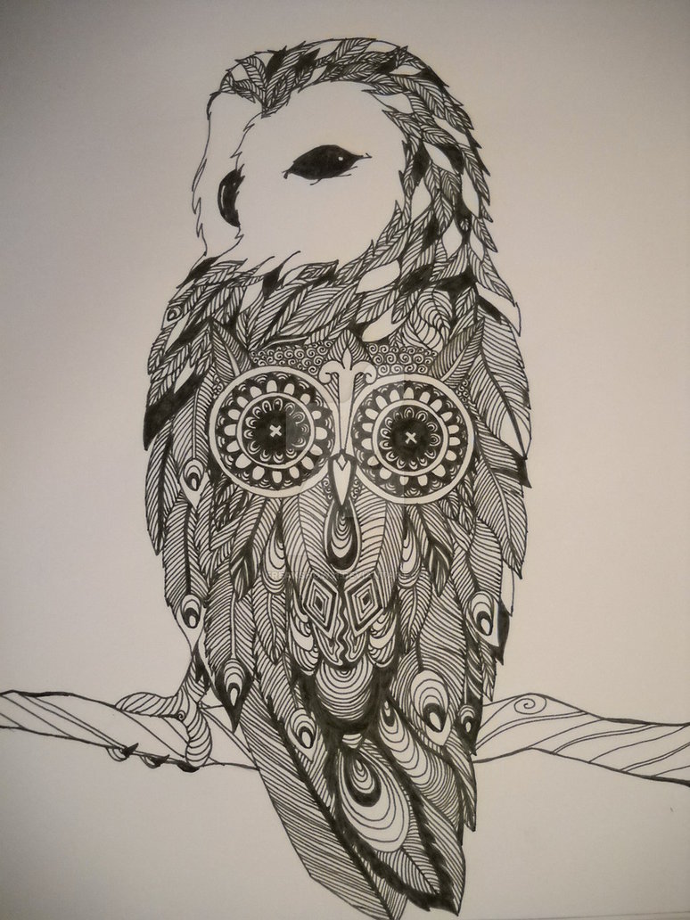 Abstract Owl Drawing Art