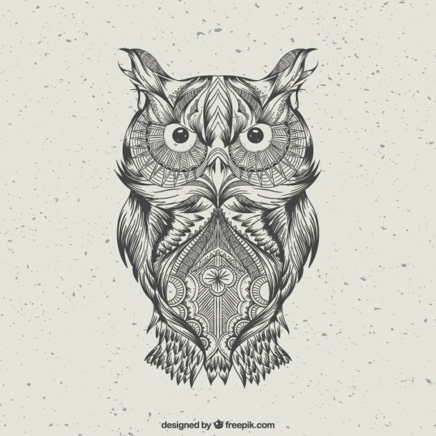 Abstract Owl Drawing Beautiful Image
