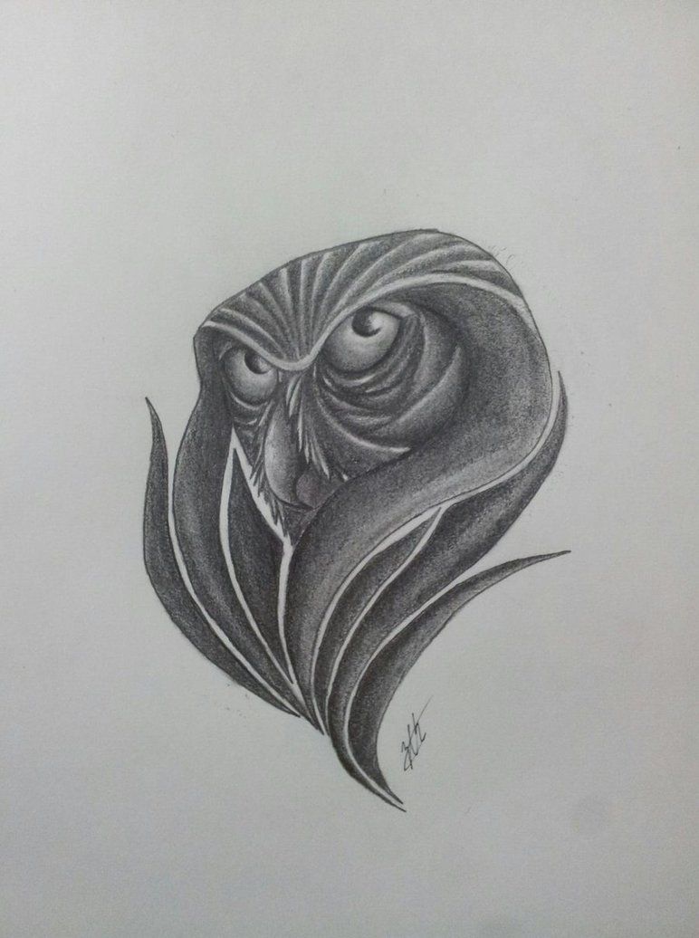 Abstract Owl Drawing Realistic