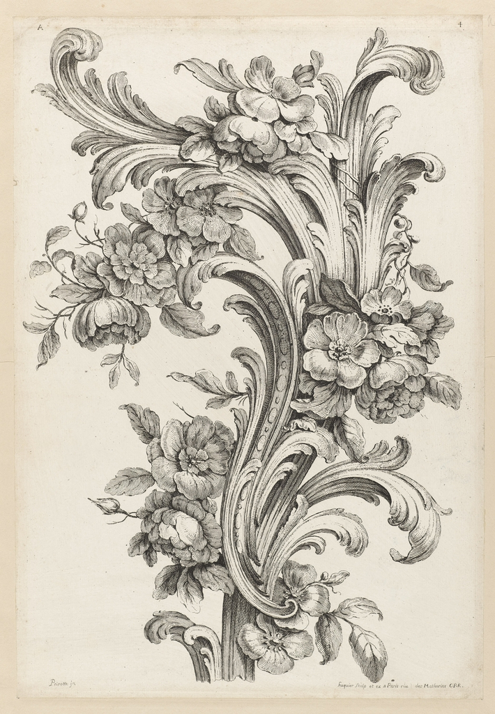 Acanthus Drawing Photo