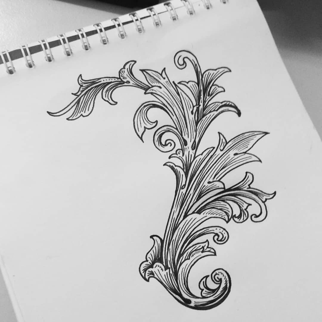 Acanthus Leaves Art Drawing