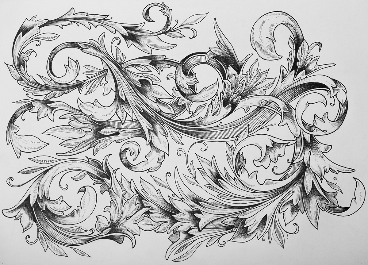 Acanthus Leaves Drawing Art