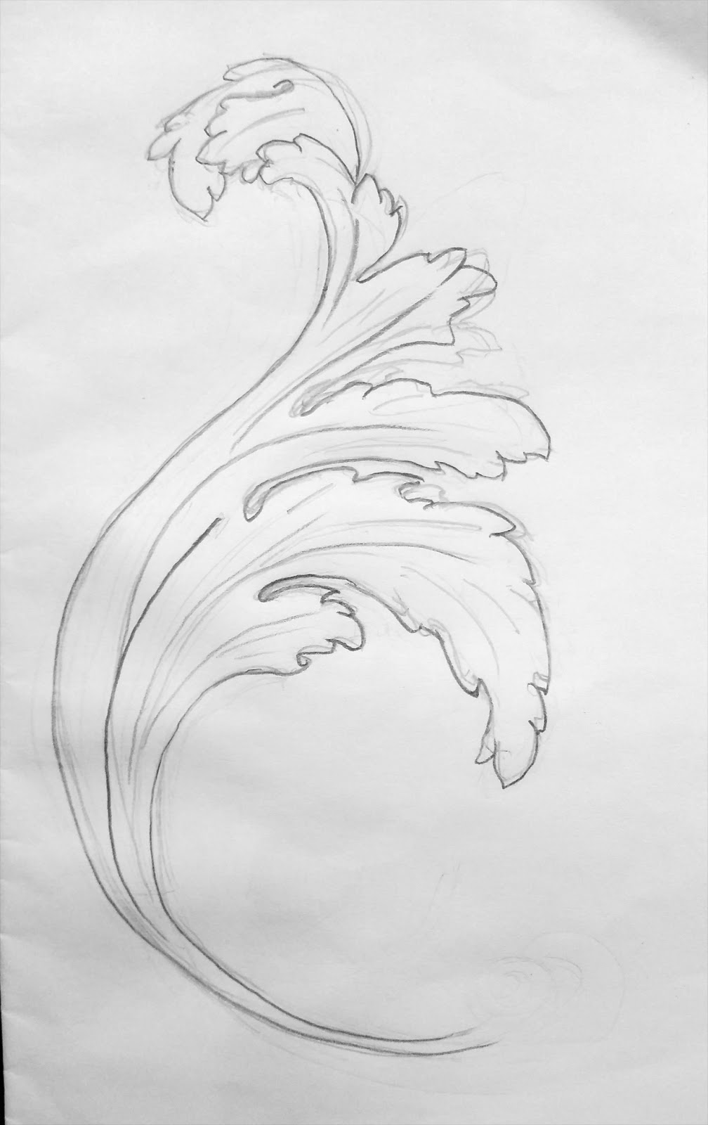 Acanthus Leaves Drawing Image