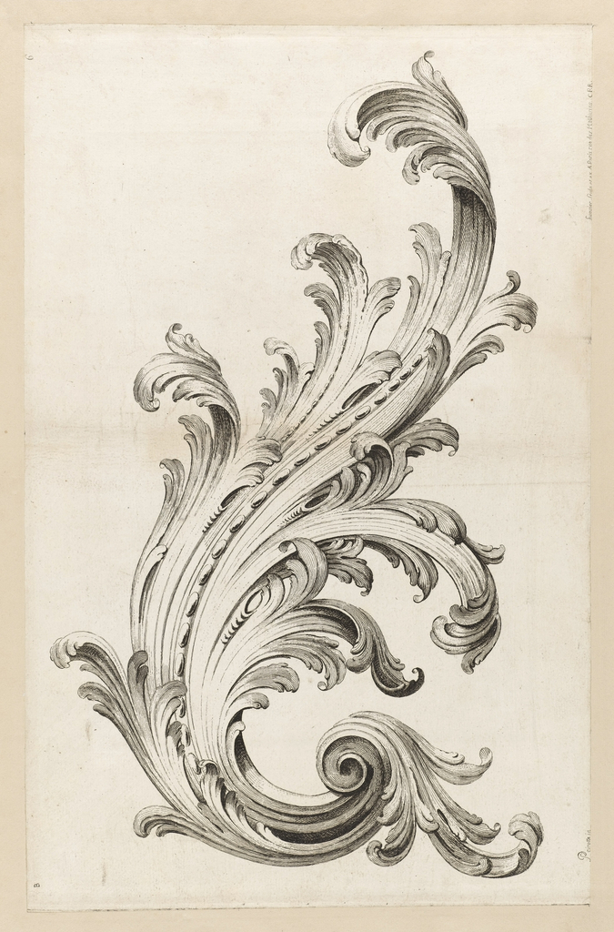 Acanthus Leaves Drawing Photo