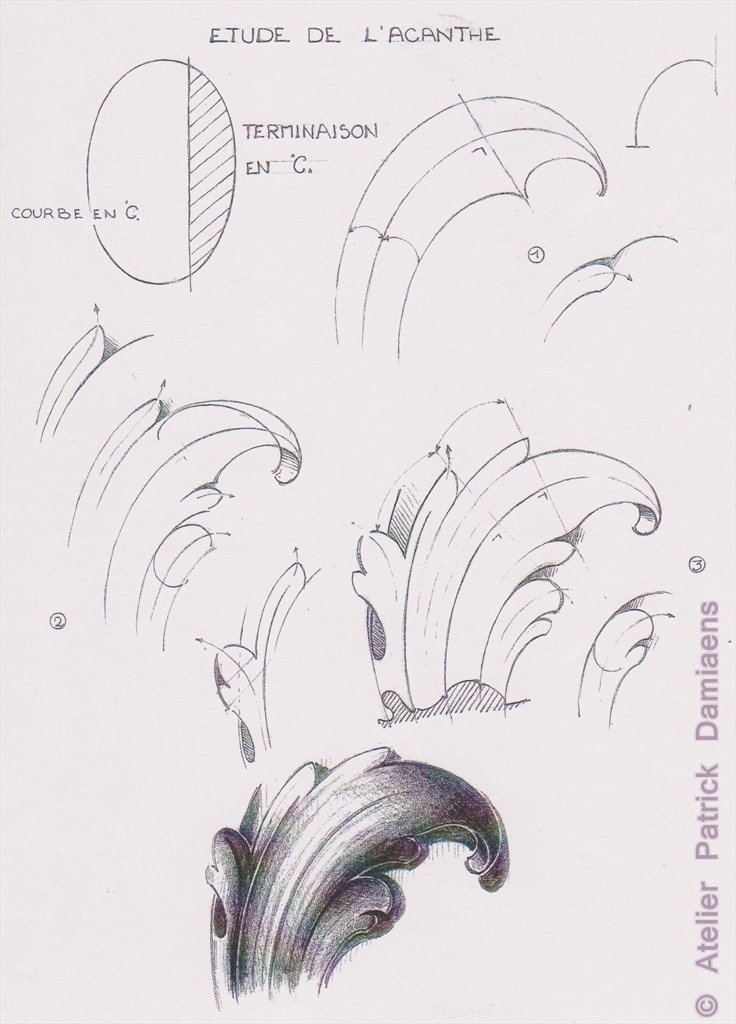 Acanthus Leaves Drawing Pic