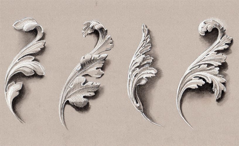 Acanthus Leaves Drawing Picture