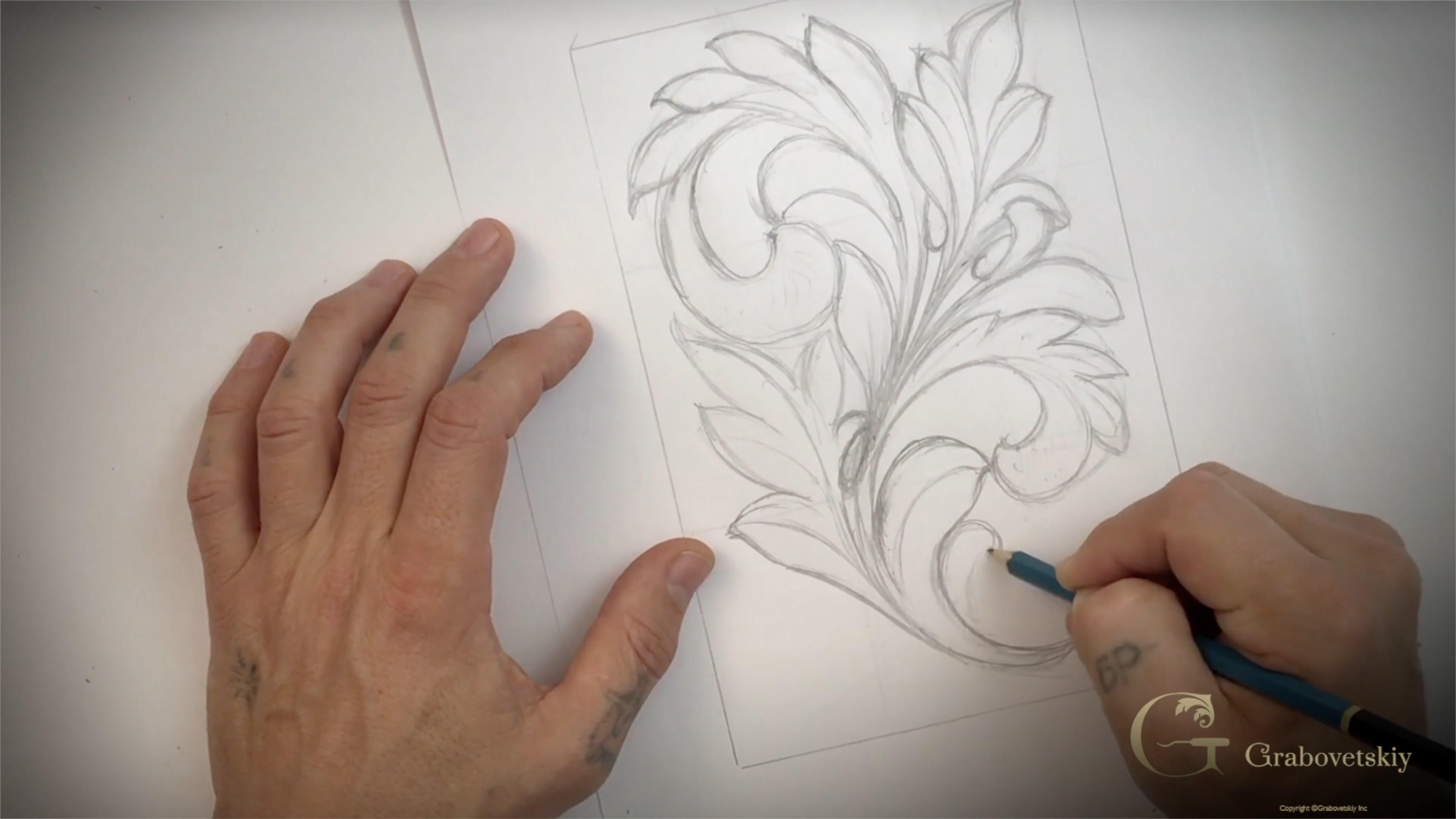 Acanthus Leaves Drawing Realistic