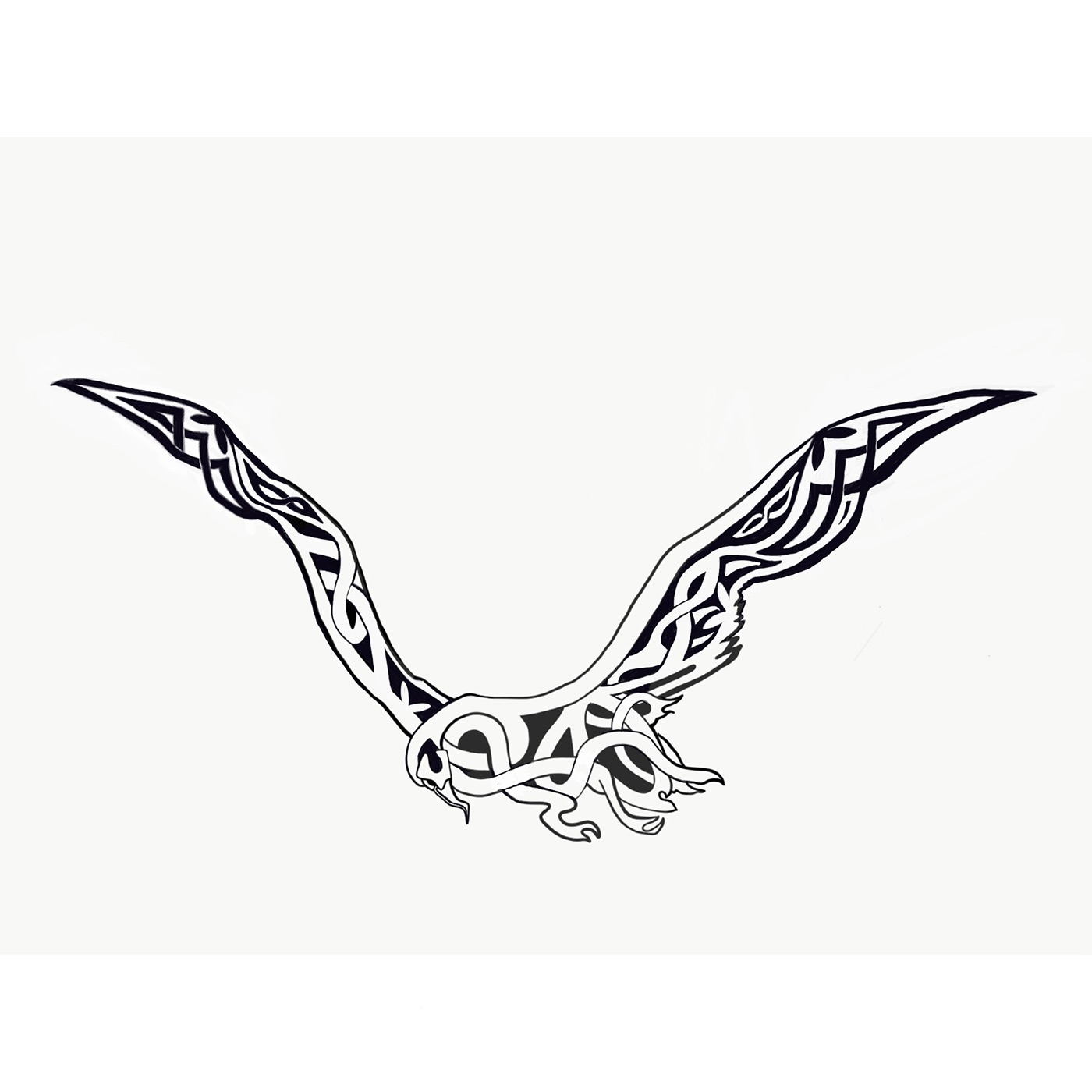 Albatross Drawing Image