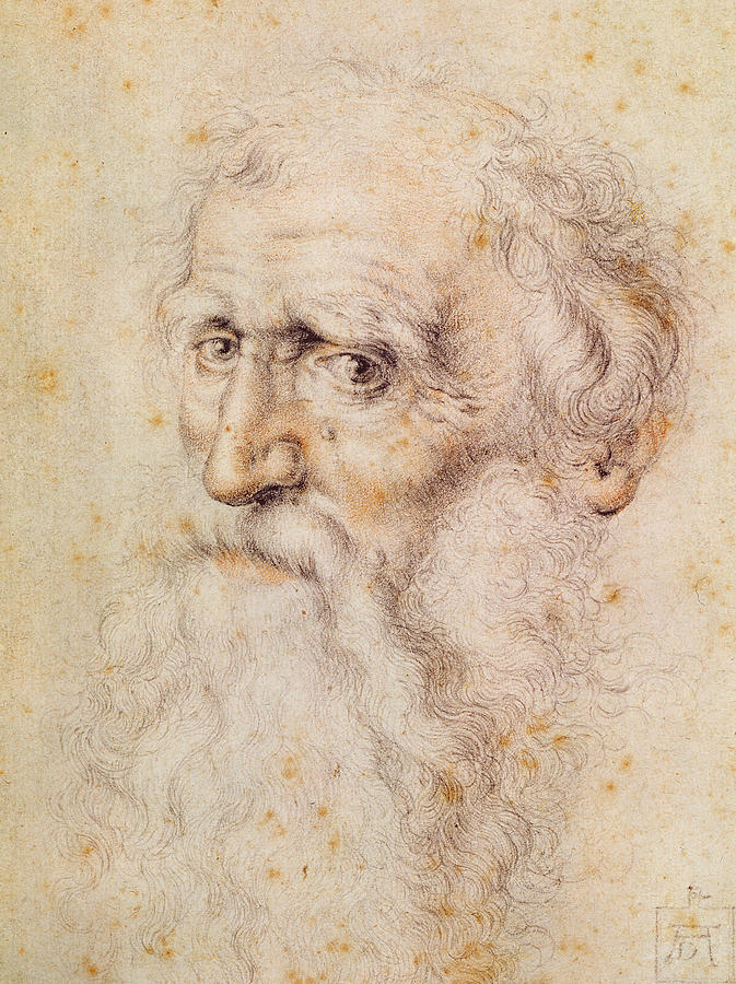 Albrecht Durer Drawing High-Quality