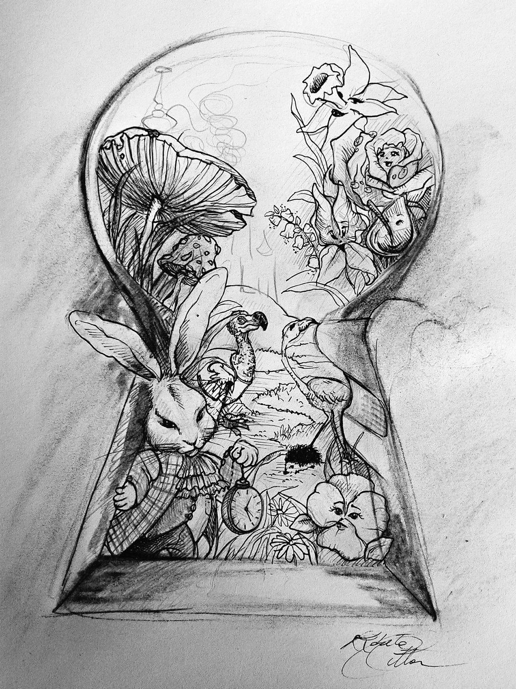 Alice In Wonderland Drawing Sketch